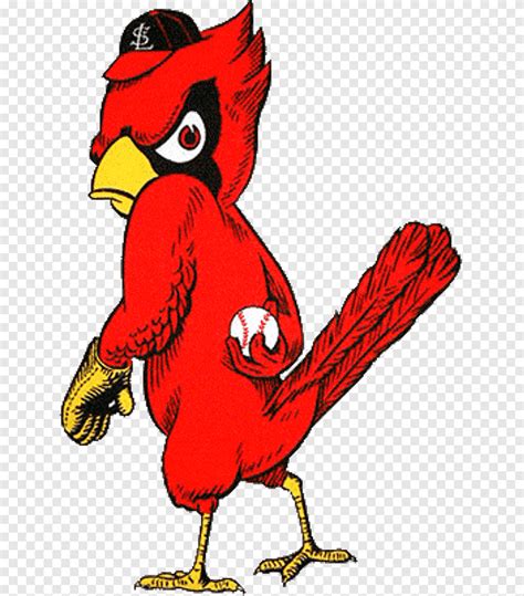 Logos and uniforms of the St. Louis Cardinals .